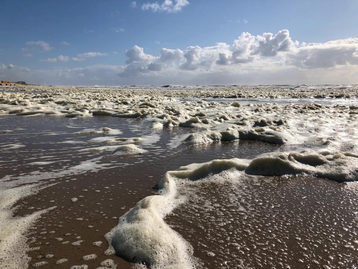Eco Lodge Duin- Unieke Locatie -Strand, Duin En Nabij Cultuursteden Castricum Eksteriør billede