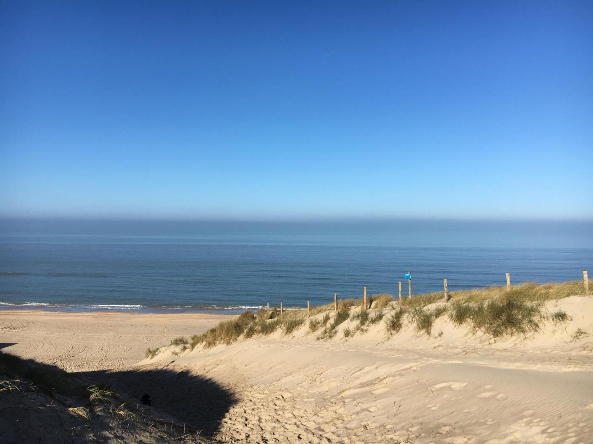 Eco Lodge Duin- Unieke Locatie -Strand, Duin En Nabij Cultuursteden Castricum Eksteriør billede
