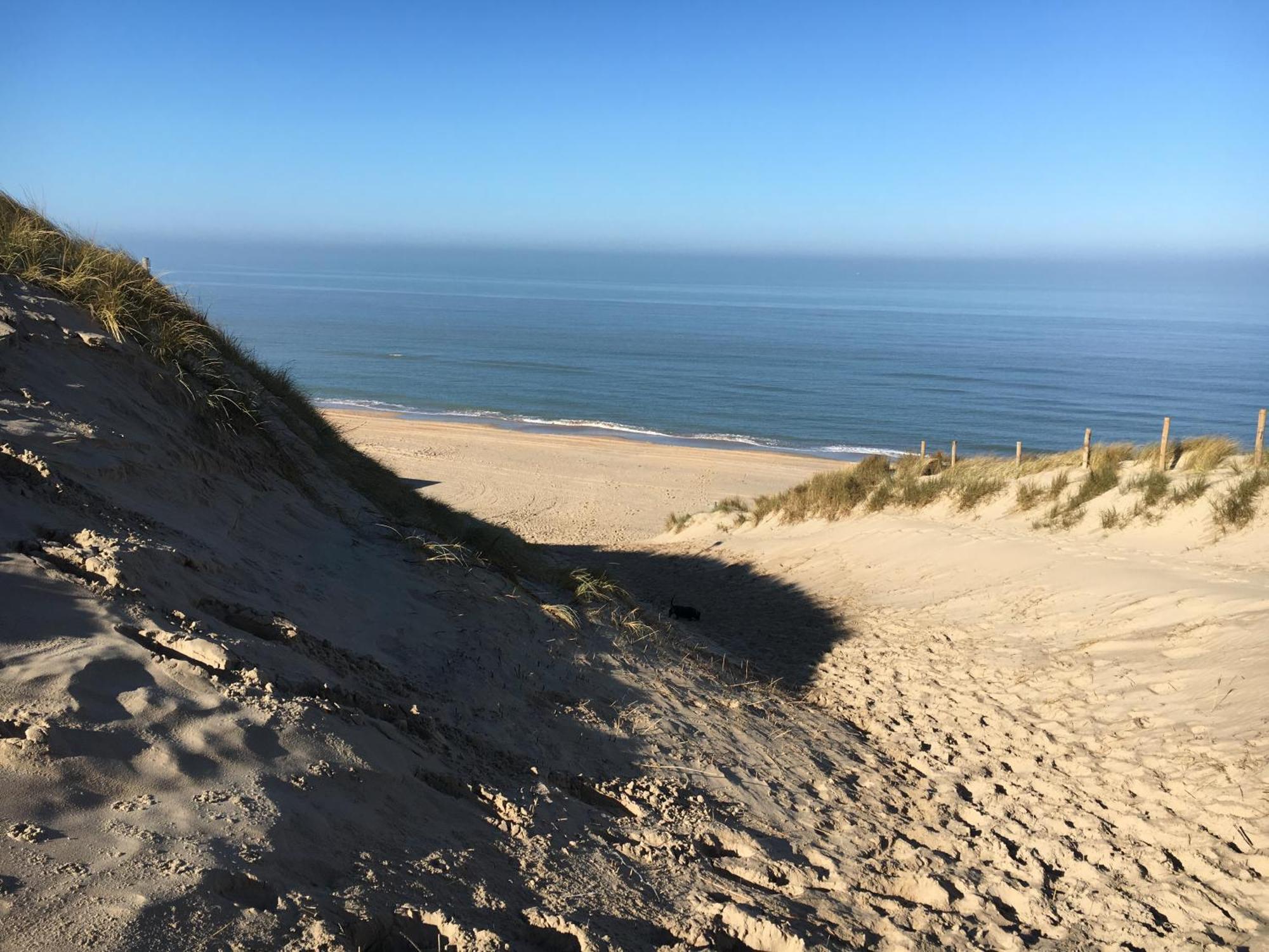 Eco Lodge Duin- Unieke Locatie -Strand, Duin En Nabij Cultuursteden Castricum Eksteriør billede