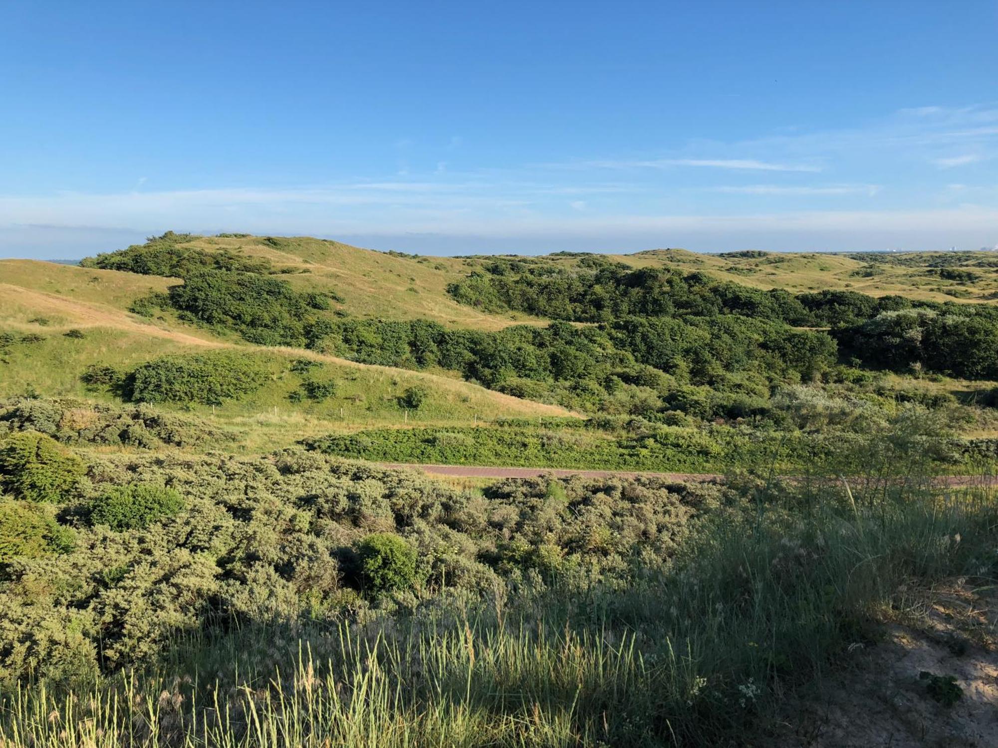 Eco Lodge Duin- Unieke Locatie -Strand, Duin En Nabij Cultuursteden Castricum Eksteriør billede