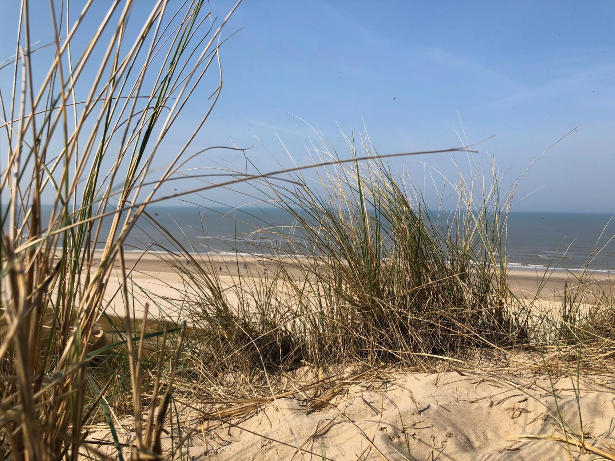 Eco Lodge Duin- Unieke Locatie -Strand, Duin En Nabij Cultuursteden Castricum Eksteriør billede
